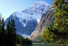 《天涯社区旅游奇遇记：当本地人带你漫游秘境》